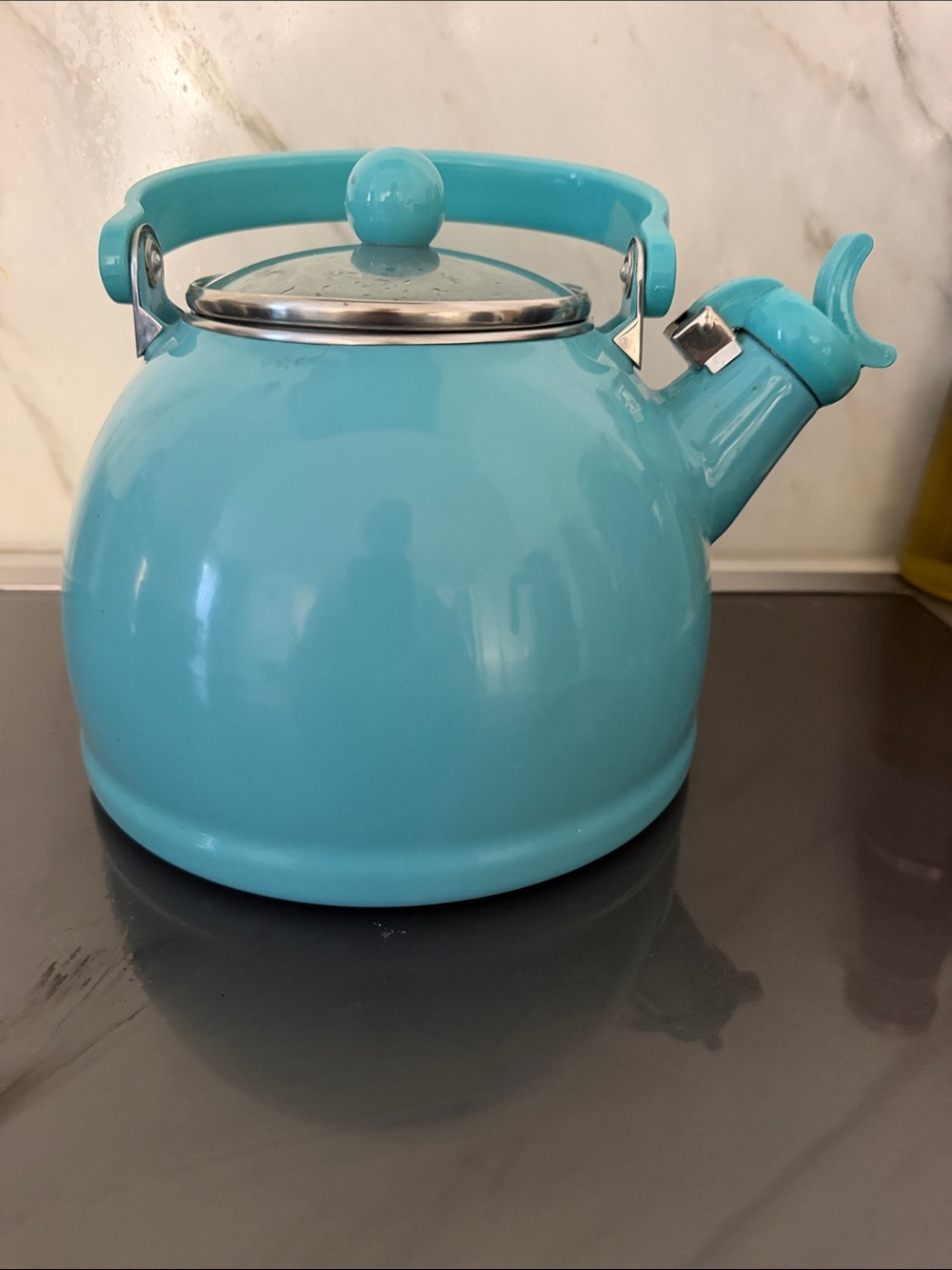 Enamel Turquoise Whistling Tea Kettle with Comfort Handle - Picture 2 of 6